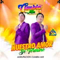 NUESTRO AMOR SE TERMINO
