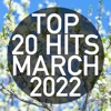 Top 20 Hits March 2022 (Instrumental)