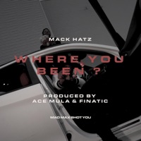 Where You Been (feat. AceMula & Mack Hatz) - Single - MAD MAX SHOT YOU