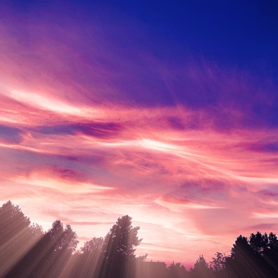 Violetine Muzika (feat. Guoda) - Single