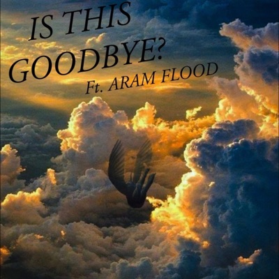 Is this goodbye? (feat. Aram Flood) - Single