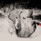 Annanass (Remixed By Andreas Söderström) - Taken By Trees lyrics