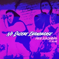 No Quiere Enamorarse (feat. Allan) - Single - Sein Alejandro