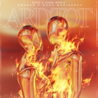 Ard Tot (feat. RZVN & XAND) [Rzvn X Xand Remix] - Single - Amedeo & Oana Marinescu