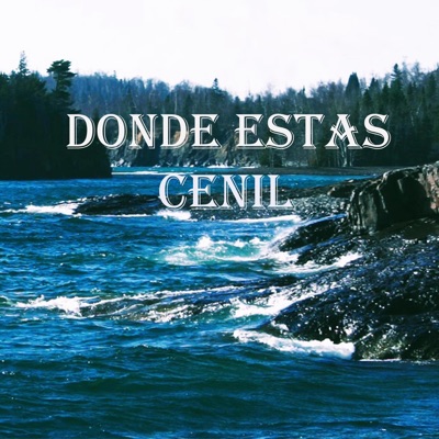Donde Estas - Single