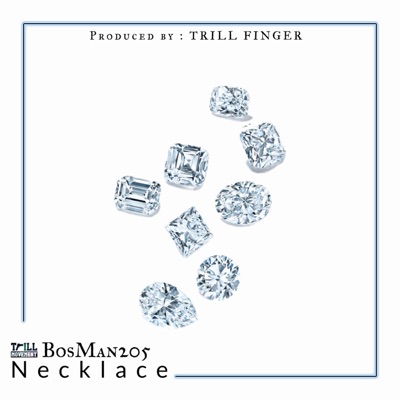 Necklace - Single