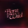CRMNL - Born to Be Wild bild