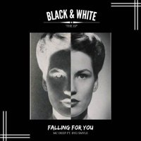 Falling For You - Single - MC Deep & Byg Smyle