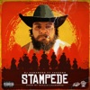 Stampede (feat. Yakeebo) - Single