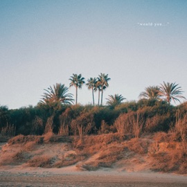 Would You (Summer Edit) Y.V.E. 48