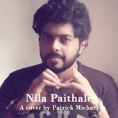 Nila Paithale (Unplugged Version) artwork