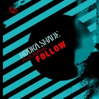 Follow - Single - Booka Shade & Felix Raphael