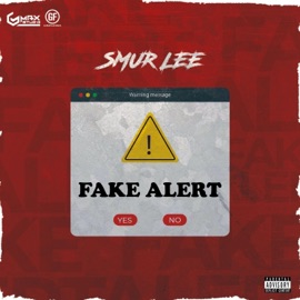 Fake Alert Smur Lee