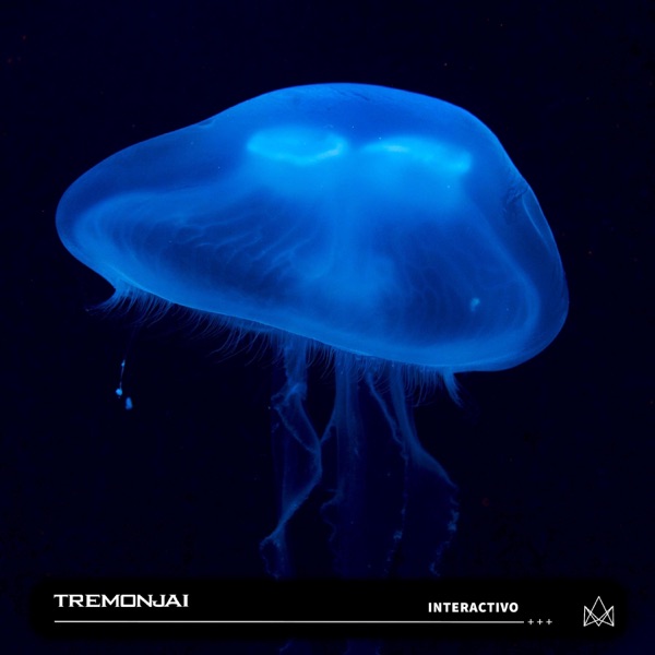 Interactivo - Single