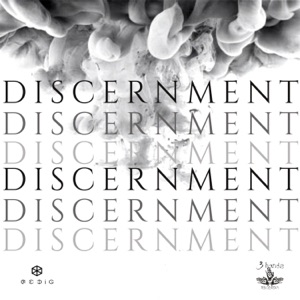 Discernment - Single