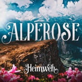 Alperose artwork