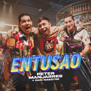 Entusao (feat. Dani Maestre) - Single