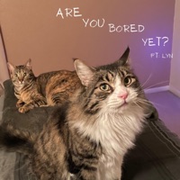 are you bored yet ? (feat. Lyn) - Single - CX