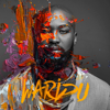 Waridu (Extended Mix) - Breyth
