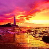 Sunkist (feat. Xavier Vanchure) - Single - John Hoegerl