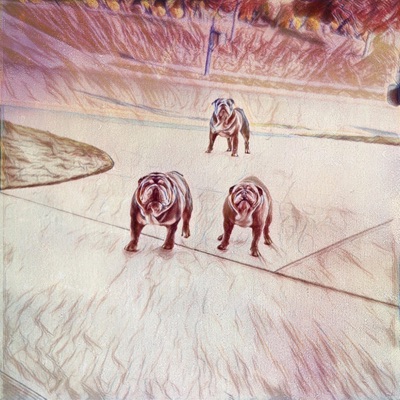 Big Dog (This That) [feat. RACHA RACH] - Single