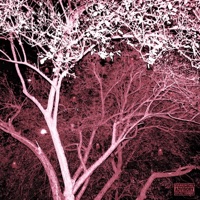 Hope - Single - Hundro