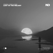 Lost In the Melody (Extended Mix) artwork