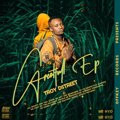 Troy Dstreet Grateful Ep