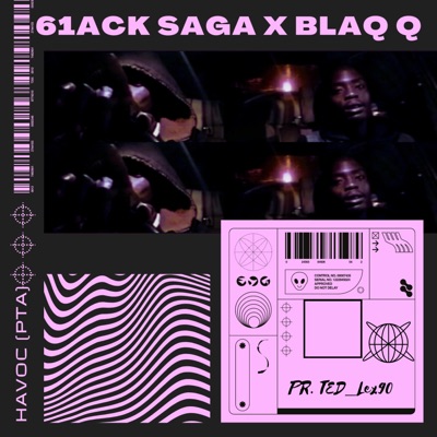 Havoc (PTA) (feat. Blaq Q) - Single