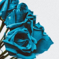 Intro.Pt. 2 - Single - Bthunnit