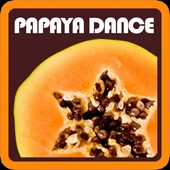 Papaya Dance (feat. Urszula Dudziak) artwork
