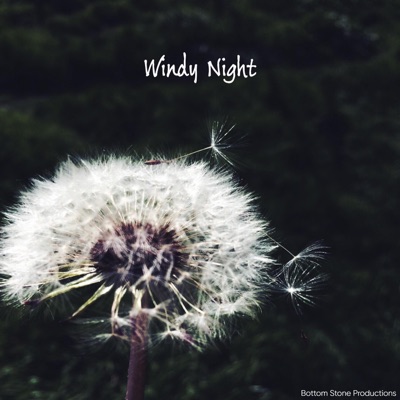 Windy Night (feat. Dr. Rick Boswell) - Single