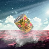 VERÃO DA LATA - Single - Magyn