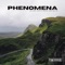 Phenomena artwork