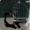 Toxic Love (feat. NMG Jay) - ThakidBreezy lyrics