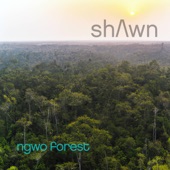 Ngwo Forest artwork