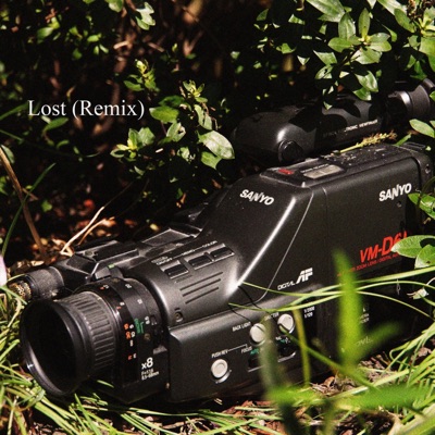 Lost (V.A.F. Remix) - Single