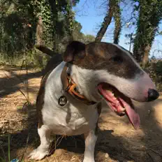 Listen to Serpent Of The Light, watch music videos, read bio, see tour dates & more!