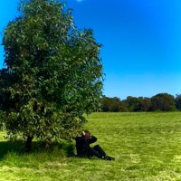 Say What You - Single - Alruna