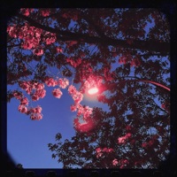 Let 'Em Know - Single - Lascko