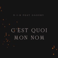C'est quoi mon nom (feat. Gaoury) - Single - N-i-B