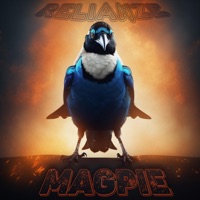 Magpie - Single - Relianze