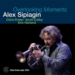 Overlooking Moments (feat. Chris Potter, Scott Colley & Eric Harland)
