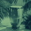 ACID GUARACHA cover art