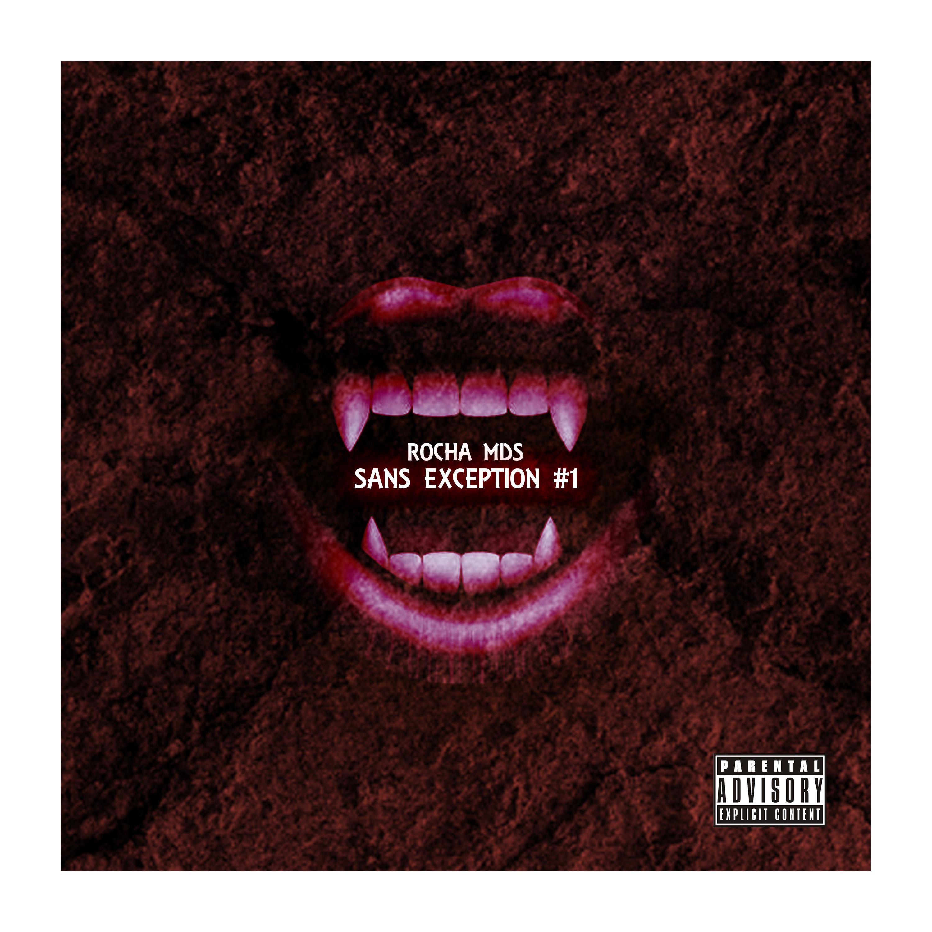 SANS EXCEPTION #1 - Single