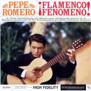 ¡Flamenco Fenomeno!