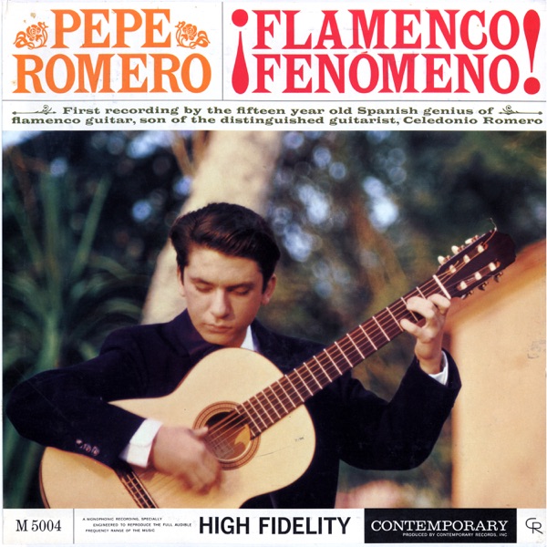 ¡Flamenco Fenomeno!