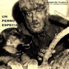 Un perro especial - Single