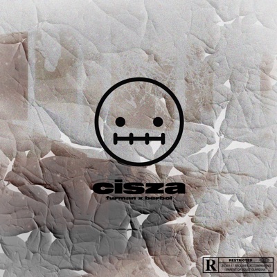 Cisza (feat. Furman) - Single