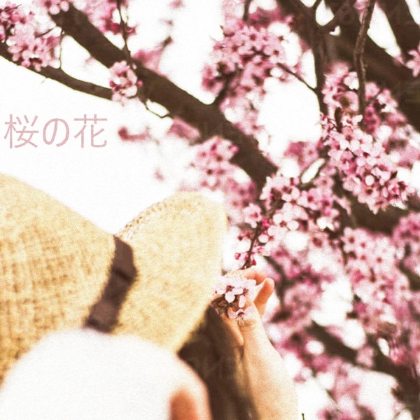 桜の花 - Single